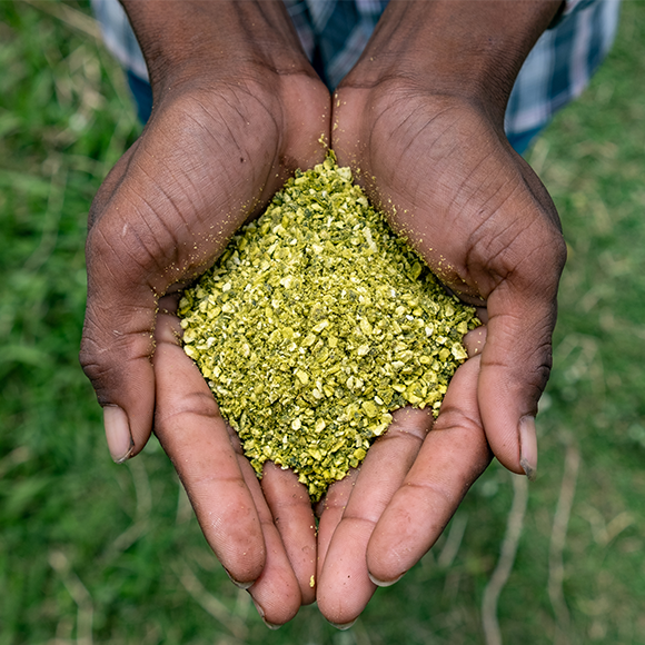 Chamkar Kaffir Limettenschale granuliert 40 g